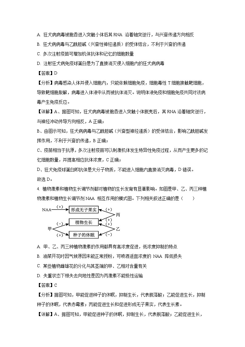 湖北省名校协作体2023-2024学年高二下学期5月月考试生物试题（解析版）第3页