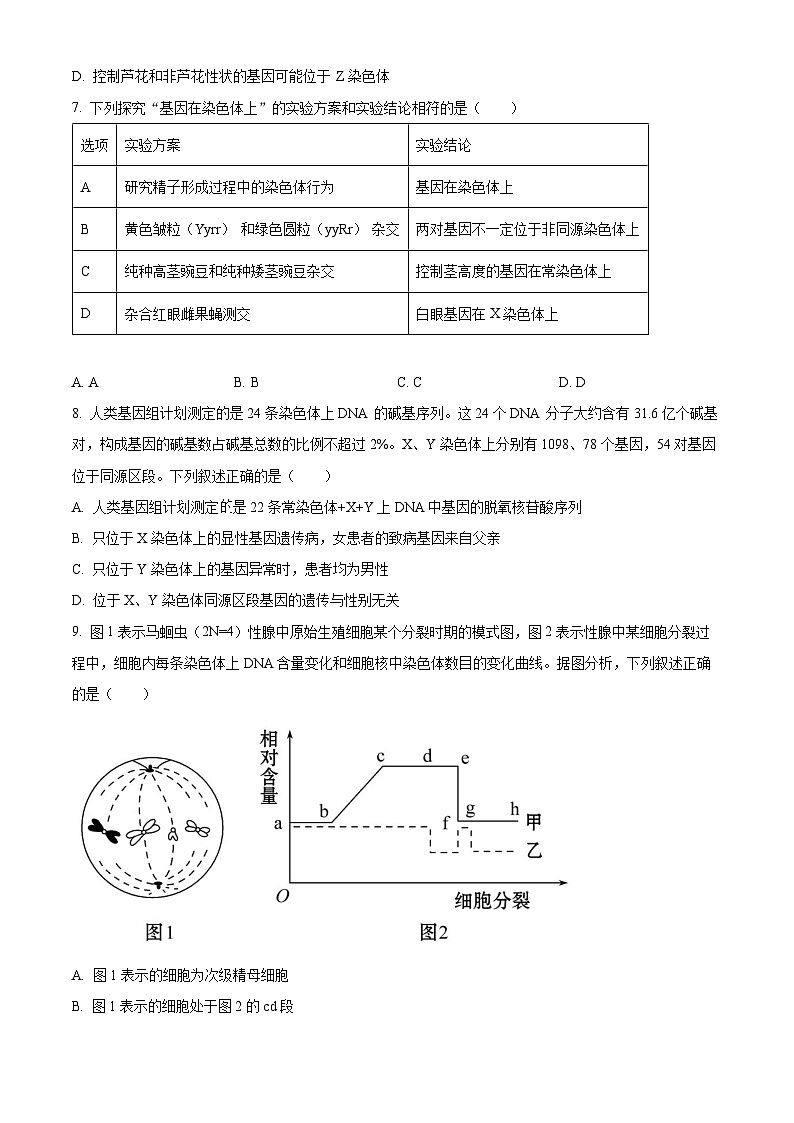 安徽省安徽县中联盟2023-2024学年高一下学期5月月考生物试题（学生版）第3页