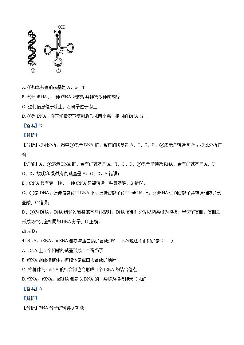 天津市红桥区第五中学2023-2024学年高一下学期5月月考生物试题（教师版）第2页