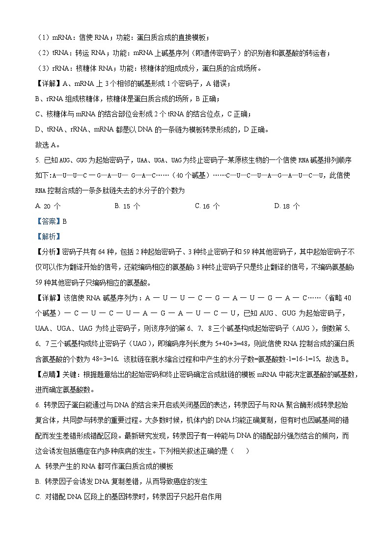 天津市红桥区第五中学2023-2024学年高一下学期5月月考生物试题（教师版）第3页