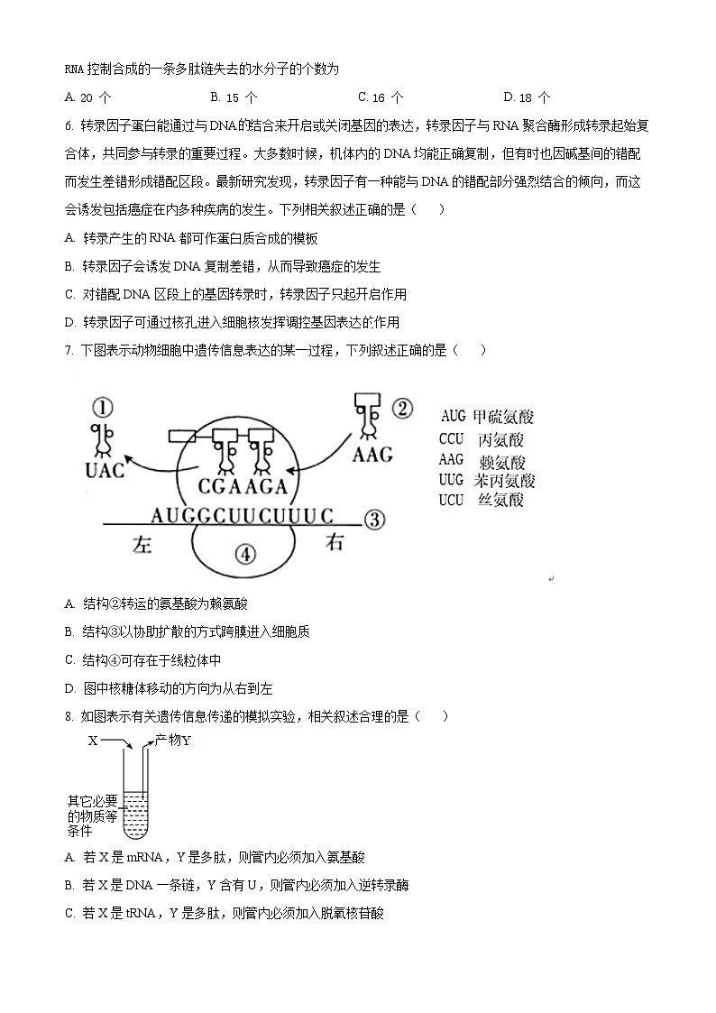 天津市红桥区第五中学2023-2024学年高一下学期5月月考生物试题（学生版）第2页