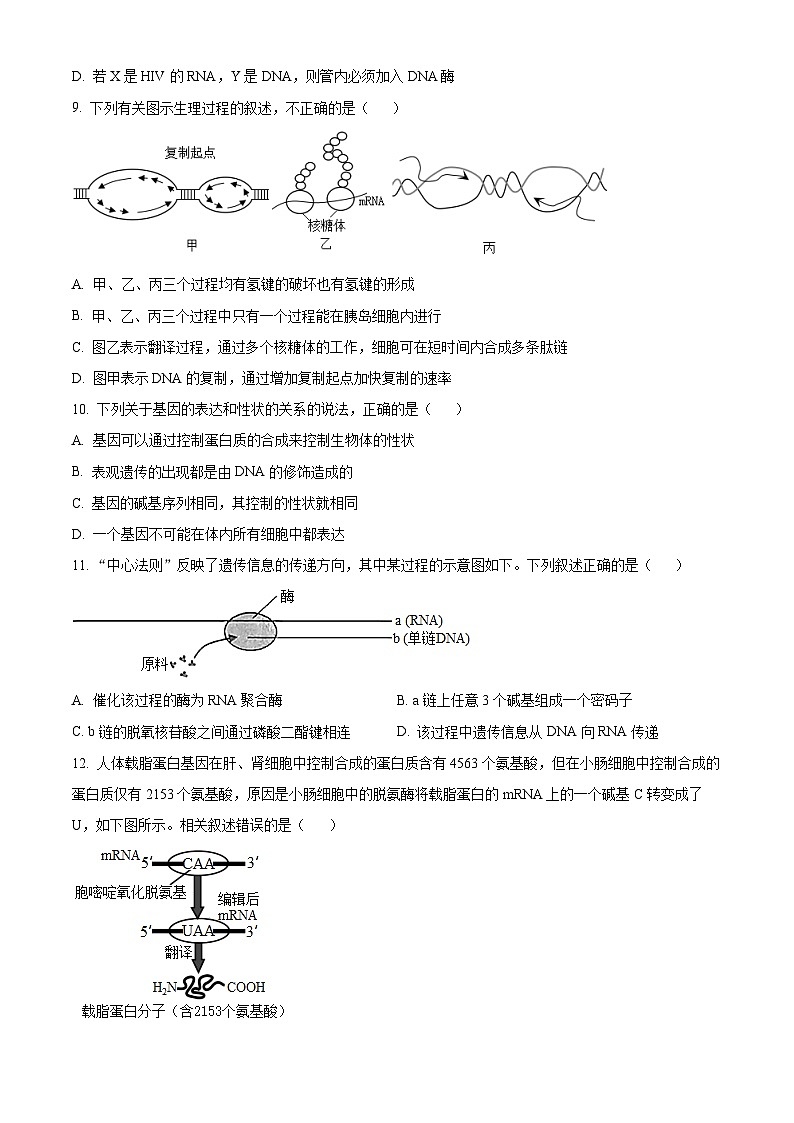 天津市红桥区第五中学2023-2024学年高一下学期5月月考生物试题（学生版）第3页