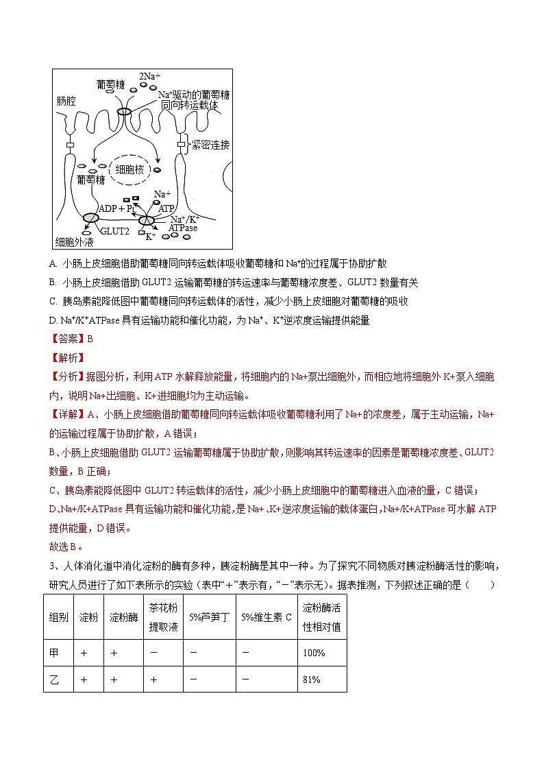 （解析版）-【赢在高考·黄金8卷】备战2024年高考生物模拟卷（安徽专用）第2页