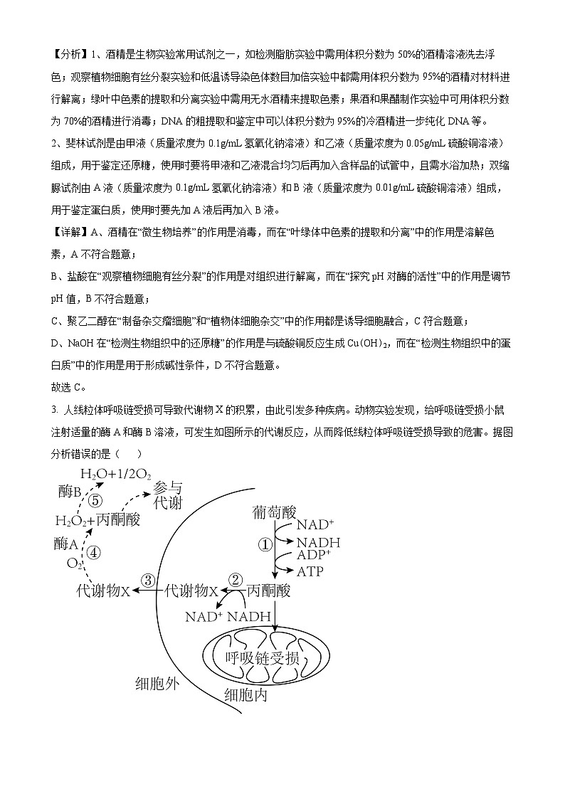2024届天津市南开中学高三下学期模拟检测生物试卷（教师版）第2页