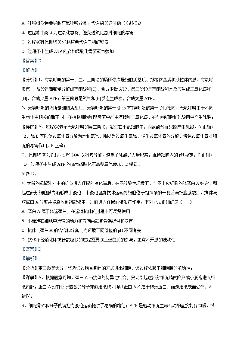 2024届天津市南开中学高三下学期模拟检测生物试卷（教师版）第3页