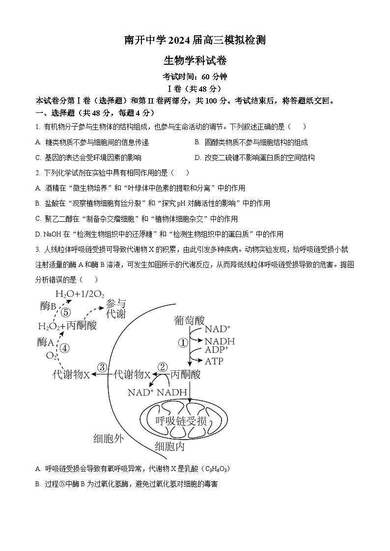2024届天津市南开中学高三下学期模拟检测生物试卷（学生版）第1页