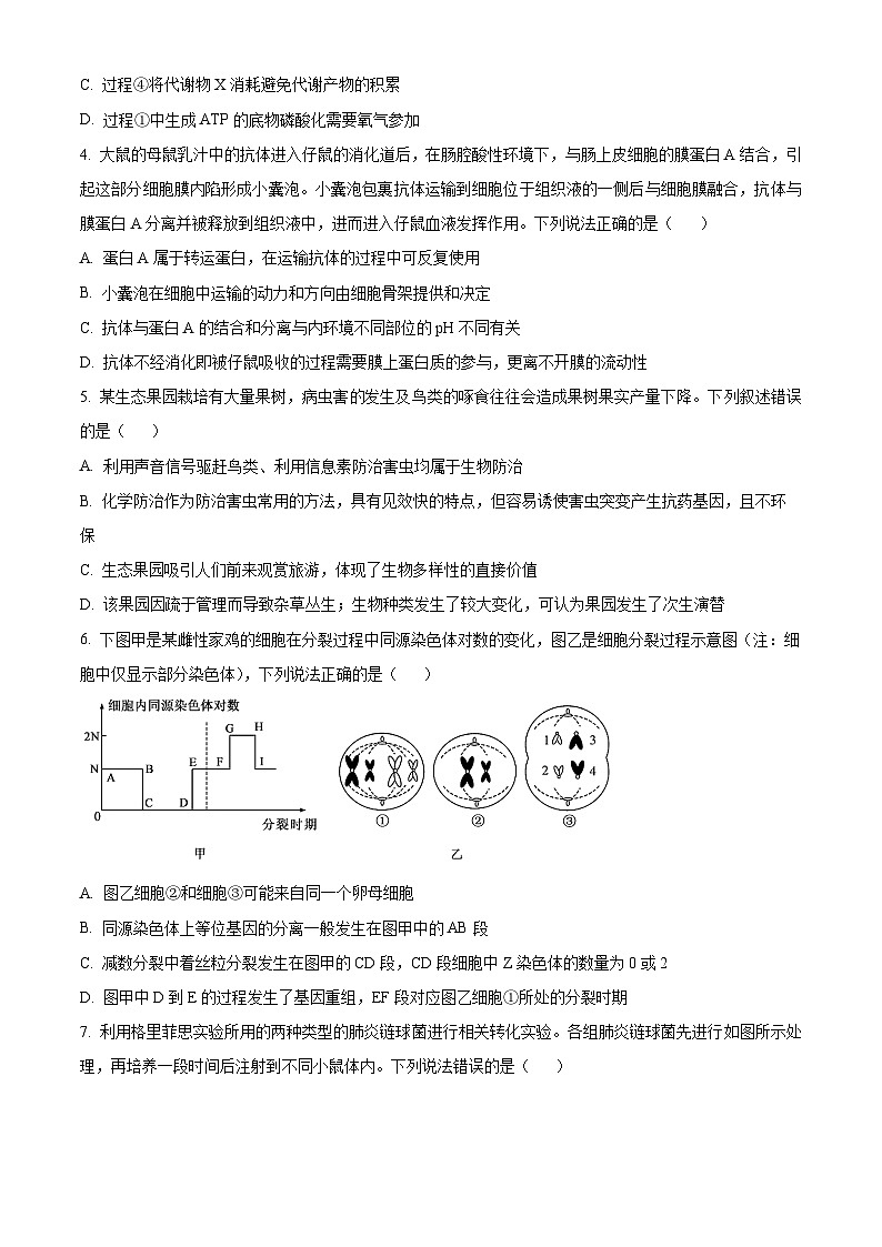 2024届天津市南开中学高三下学期模拟检测生物试卷（学生版）第2页