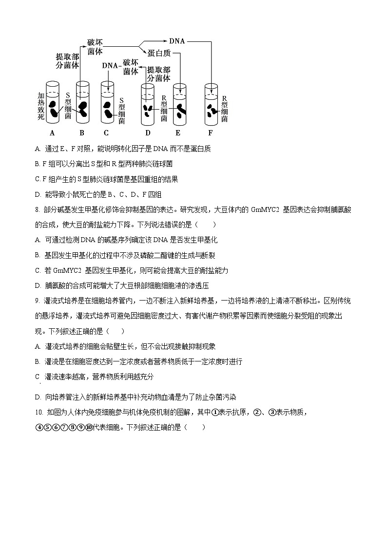 2024届天津市南开中学高三下学期模拟检测生物试卷（学生版）第3页