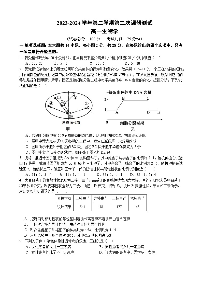 江苏省南京市六校联合体2023-2024学年高一下学期5月期中考试生物试卷（Word版附答案）01