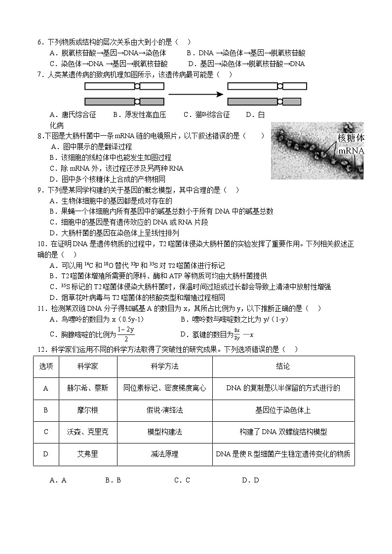 江苏省南京市六校联合体2023-2024学年高一下学期5月期中考试生物试卷（Word版附答案）02