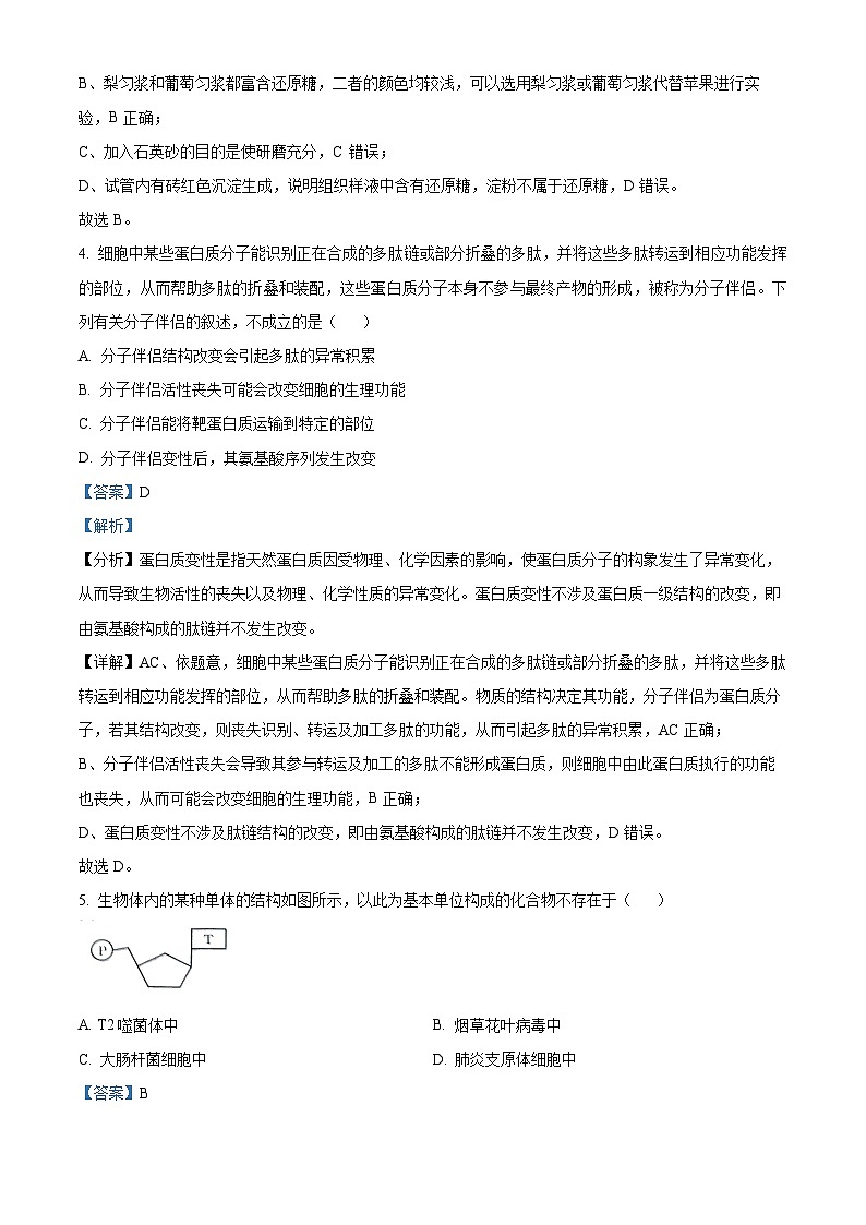 河北省保定市定州市定州市第二中学2023-2024学年高二下学期5月月考生物试题（学生版+教师版）03