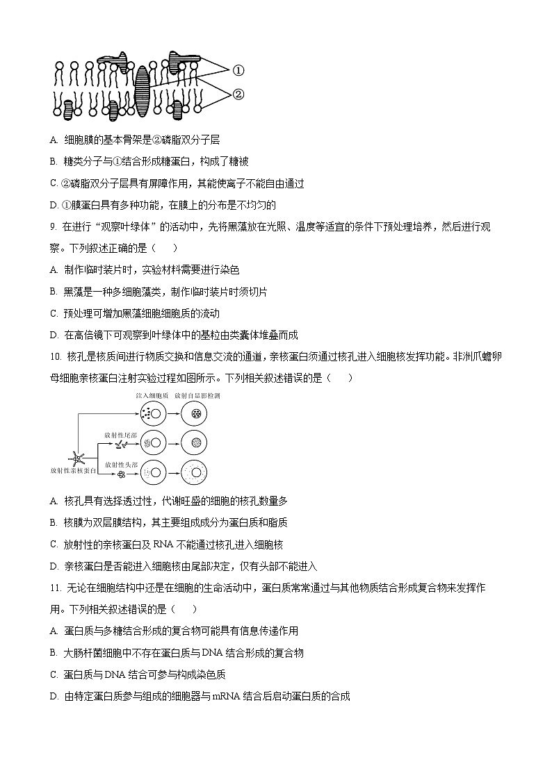 河北省保定市定州市定州市第二中学2023-2024学年高二下学期5月月考生物试题（学生版+教师版）03