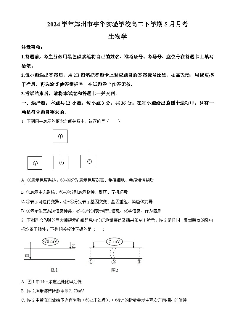 河南省郑州市新郑市宇华实验学校2023-2024学年高二下学期5月月考生物试题（学生版）第1页