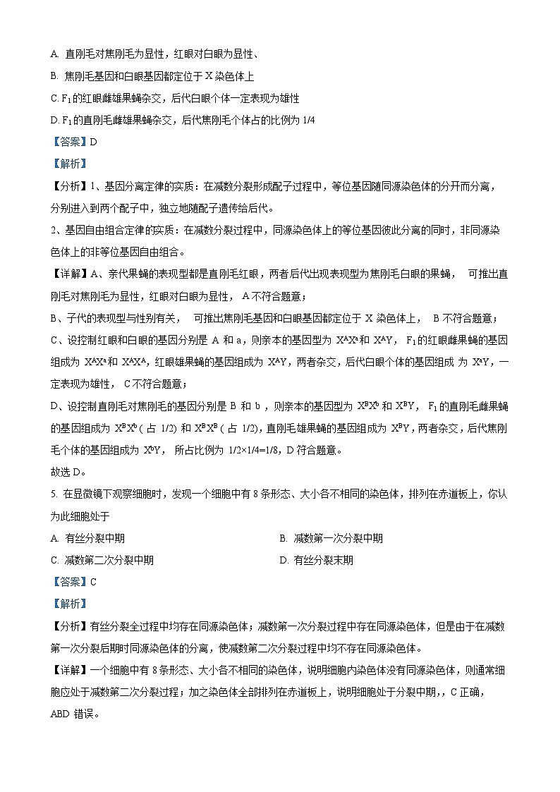 黑龙江省大庆市东风中学2023-2024学年高一下学期期中考试生物试卷（学生版+教师版）03