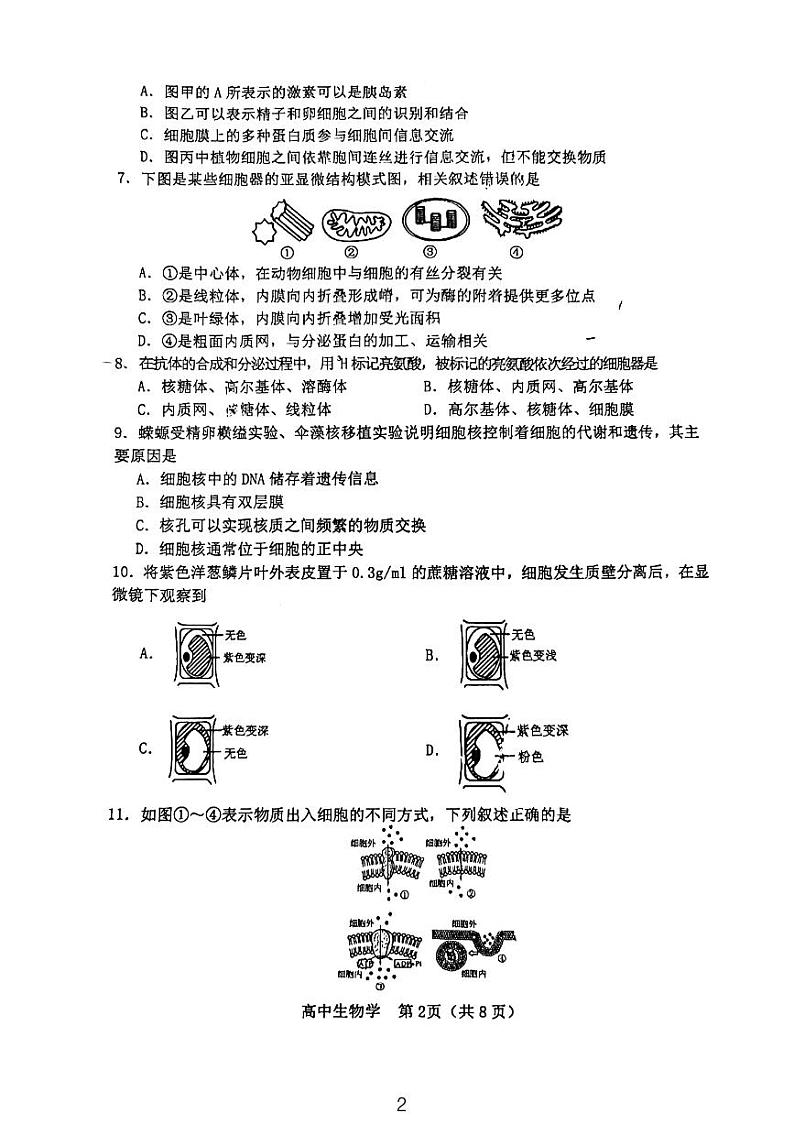 2024年天津市河北区普通高中学业水平合格性考试模拟检测生物学试题第2页