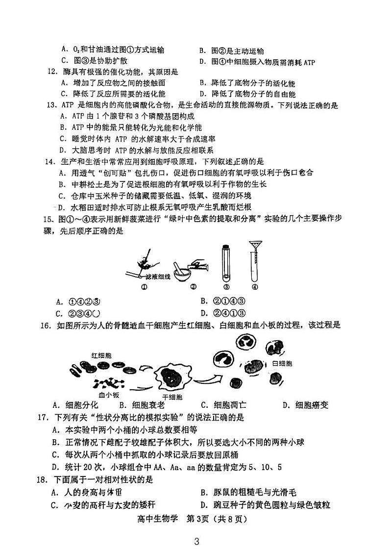 2024年天津市河北区普通高中学业水平合格性考试模拟检测生物学试题第3页