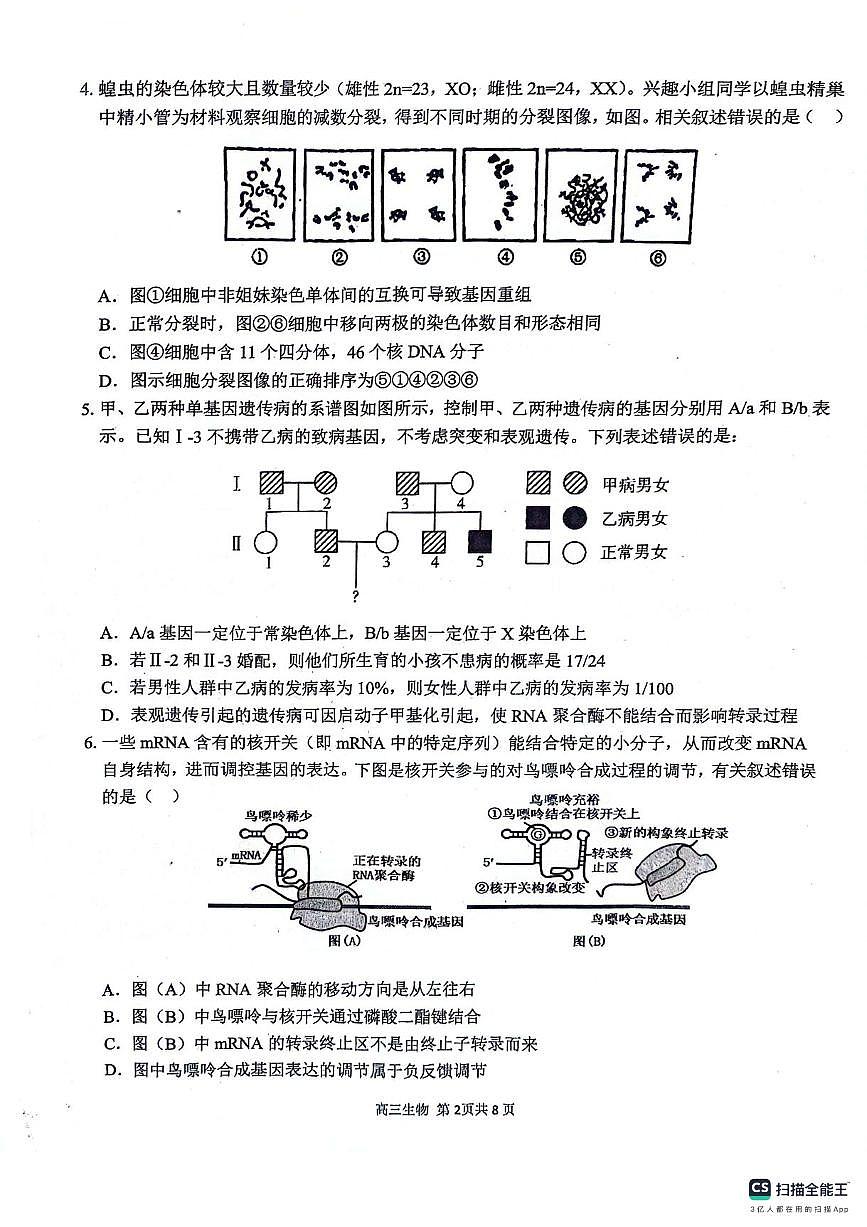 安徽师范大学附属中学2024届高三下学期最后一卷（三模）生物试题(无答案)第2页