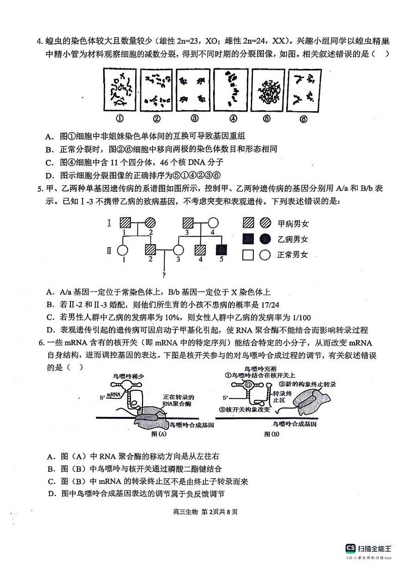 安徽师范大学附属中学2024届高三下学期最后一卷（三模）生物试题(无答案)第2页