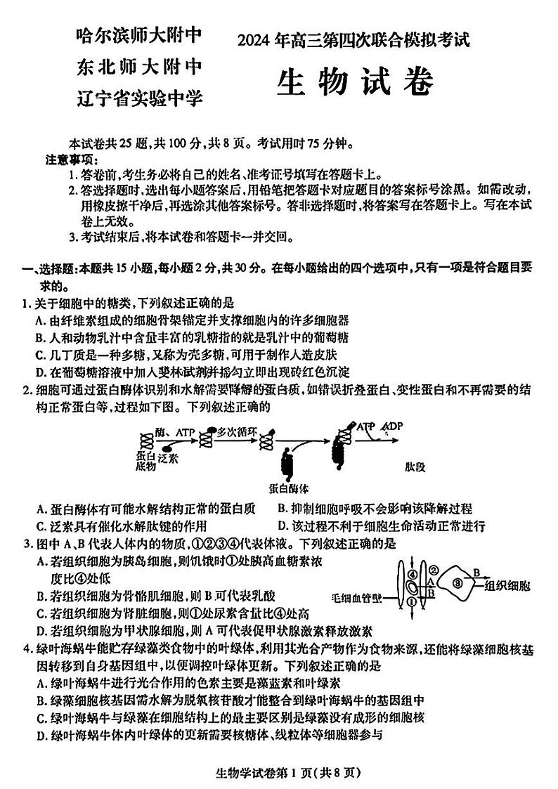 2024届东北三省三校高三下学期第四次联合模拟考试-生物试题第1页