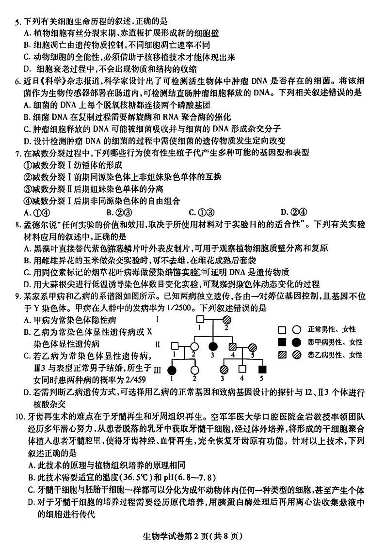 2024届东北三省三校高三下学期第四次联合模拟考试-生物试题第2页