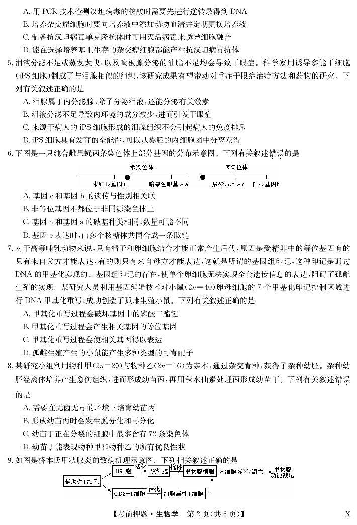 2024九师联盟高三下学期5月考前押题（新高考卷）生物试题PDF版含解析02