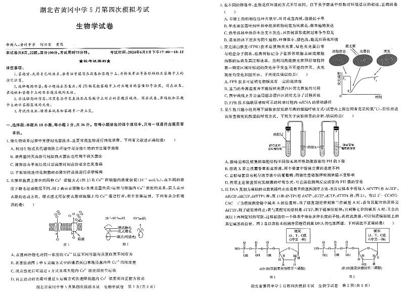 生物-湖北省黄冈中学5月第四次模拟考试第1页