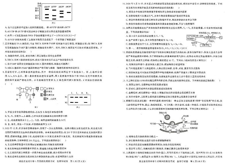 生物-湖北省黄冈中学5月第四次模拟考试第2页