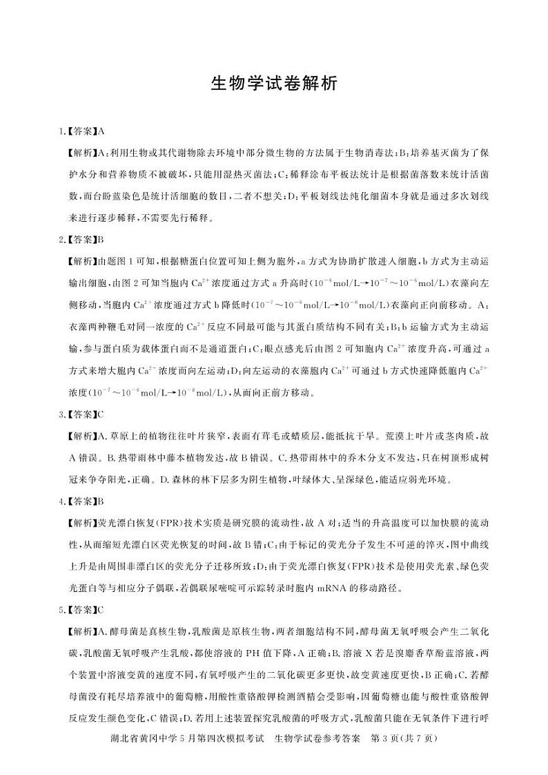 黄冈高三模拟-生物答案第3页