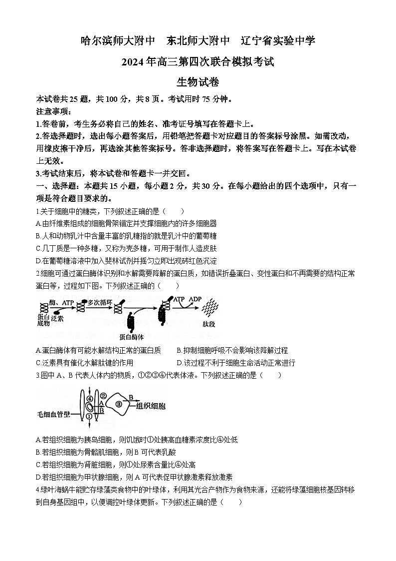 2024年东北三省三校高三下学期第四次模拟考试生物试卷第1页