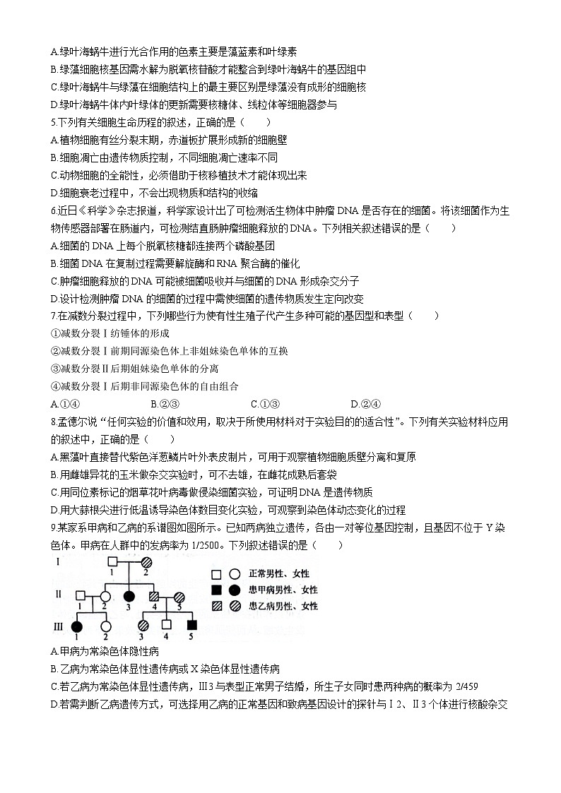 2024年东北三省三校高三下学期第四次模拟考试生物试卷第2页