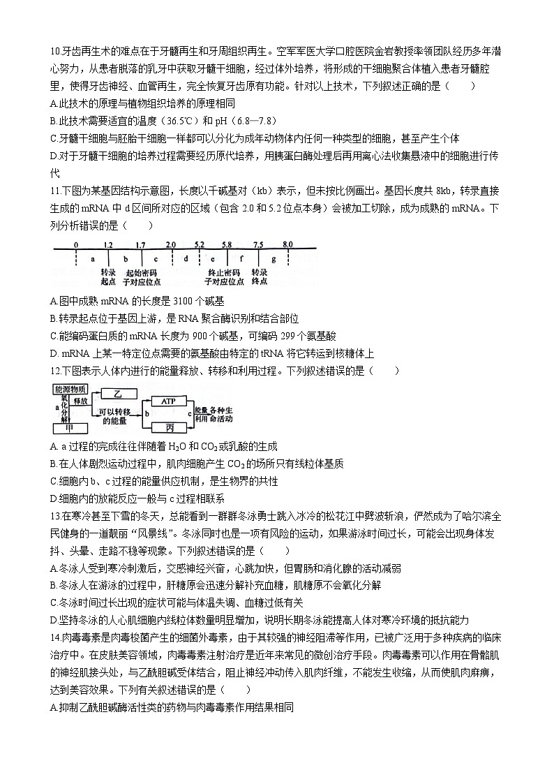 2024年东北三省三校高三下学期第四次模拟考试生物试卷第3页