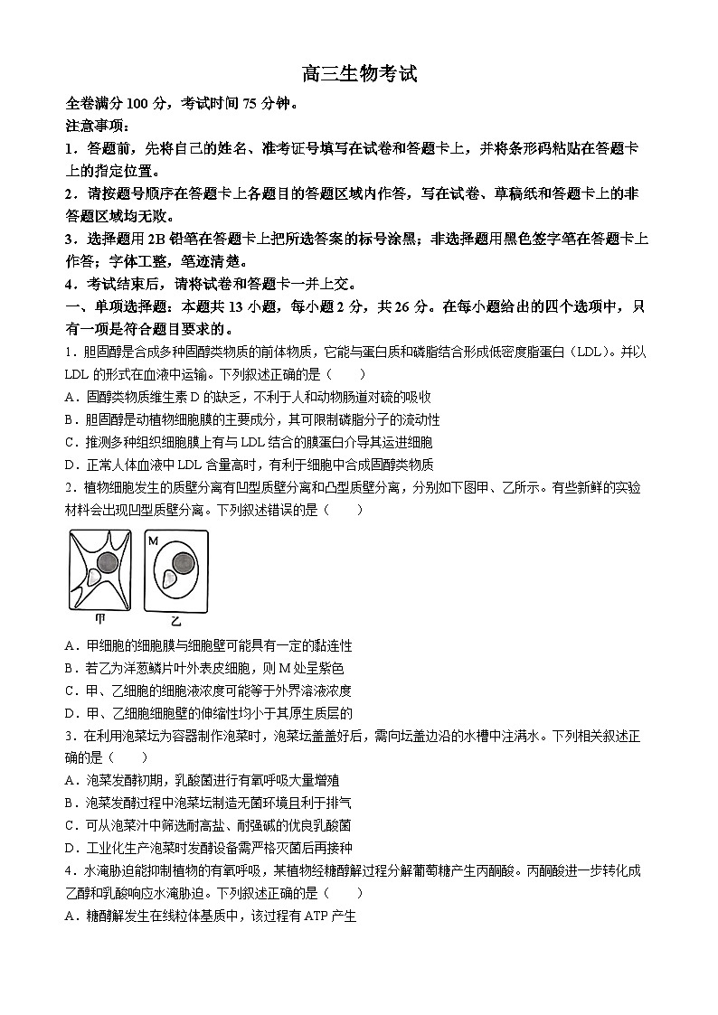 2024沧州部分示范性高中高三下学期三模试题生物含解析01