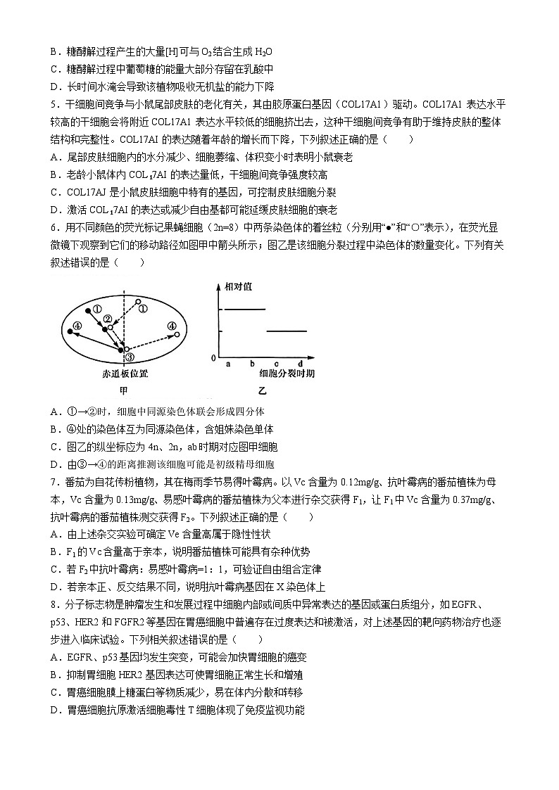 2024沧州部分示范性高中高三下学期三模试题生物含解析02