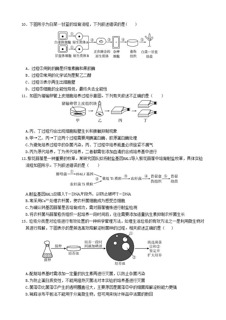 2024东莞七校联考高二下学期5月月考试题生物含答案03