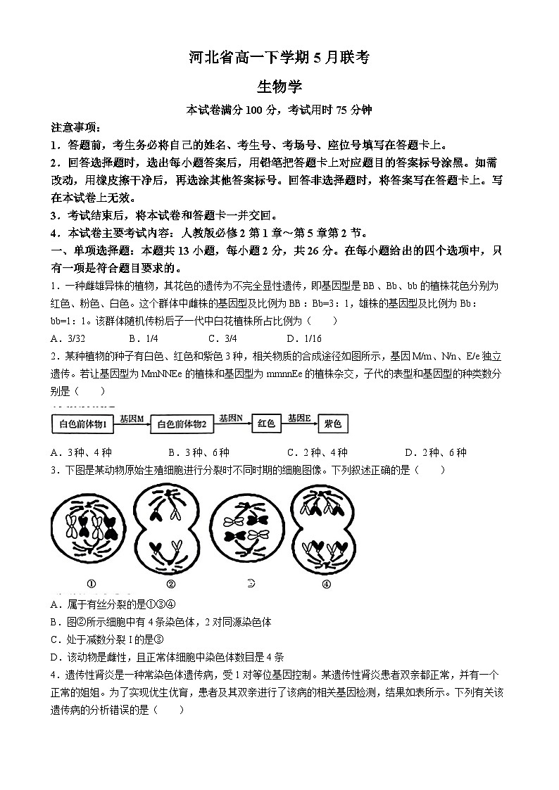 2024保定部分示范性高中高一下学期5月期中考试生物含答案第1页