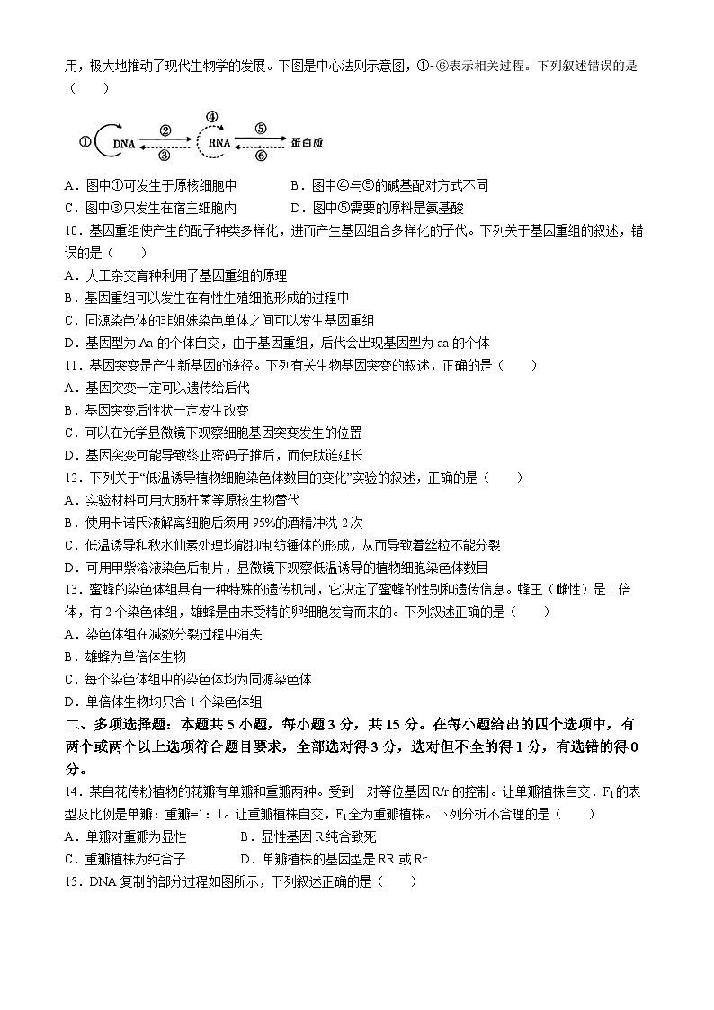 2024保定部分示范性高中高一下学期5月期中考试生物含答案第3页