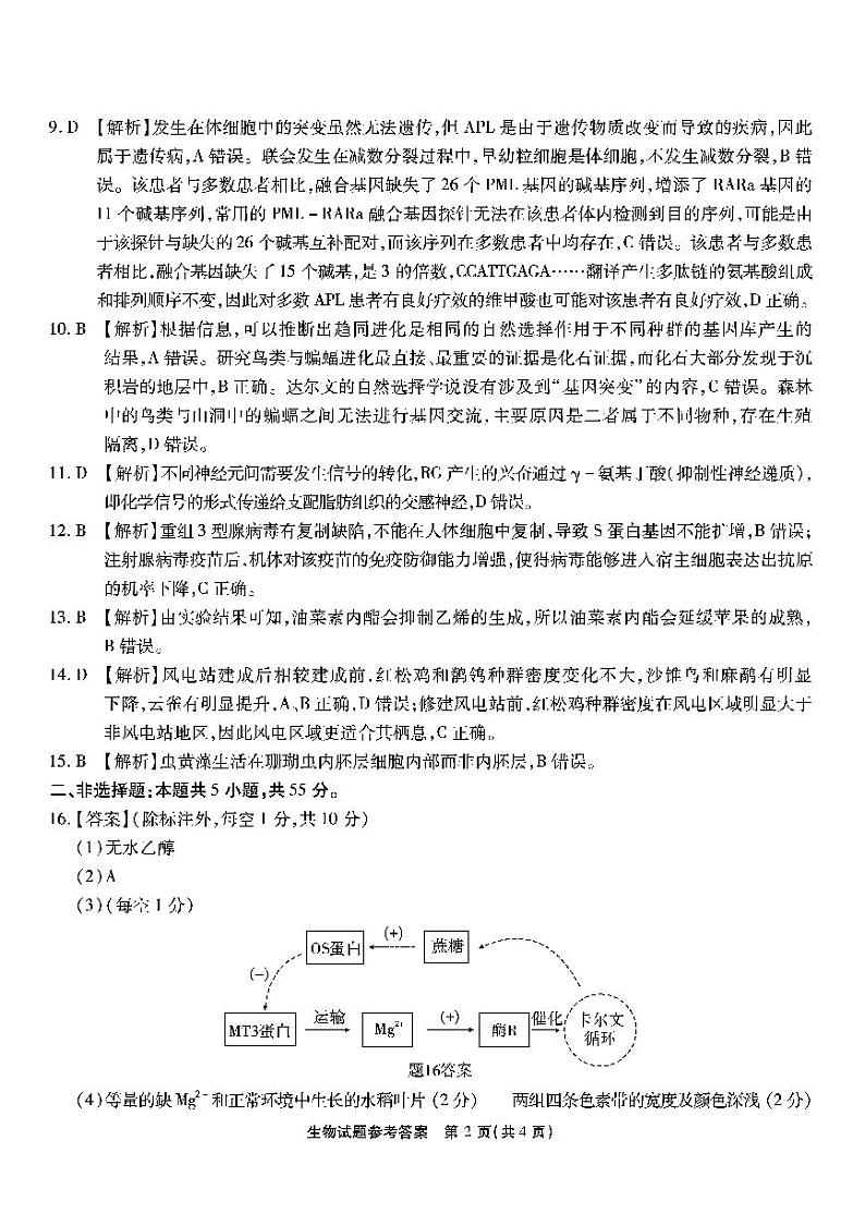 生物试卷答案第2页