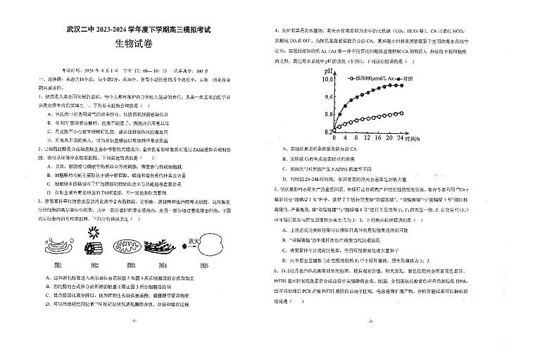 11，湖北省武汉市二中2023-2024学年高三下学期模拟考试生物学试卷第1页