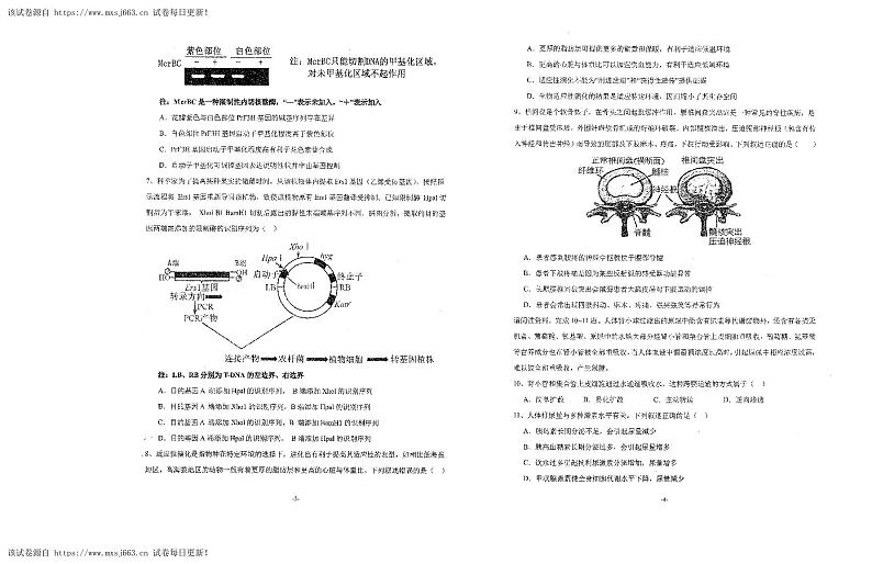 11，湖北省武汉市二中2023-2024学年高三下学期模拟考试生物学试卷第2页