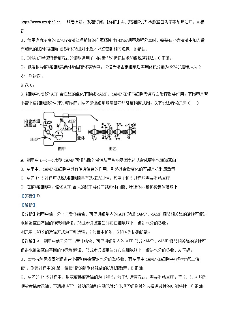 16，2024届安徽省安庆市第一中学高三三模考试生物试题02