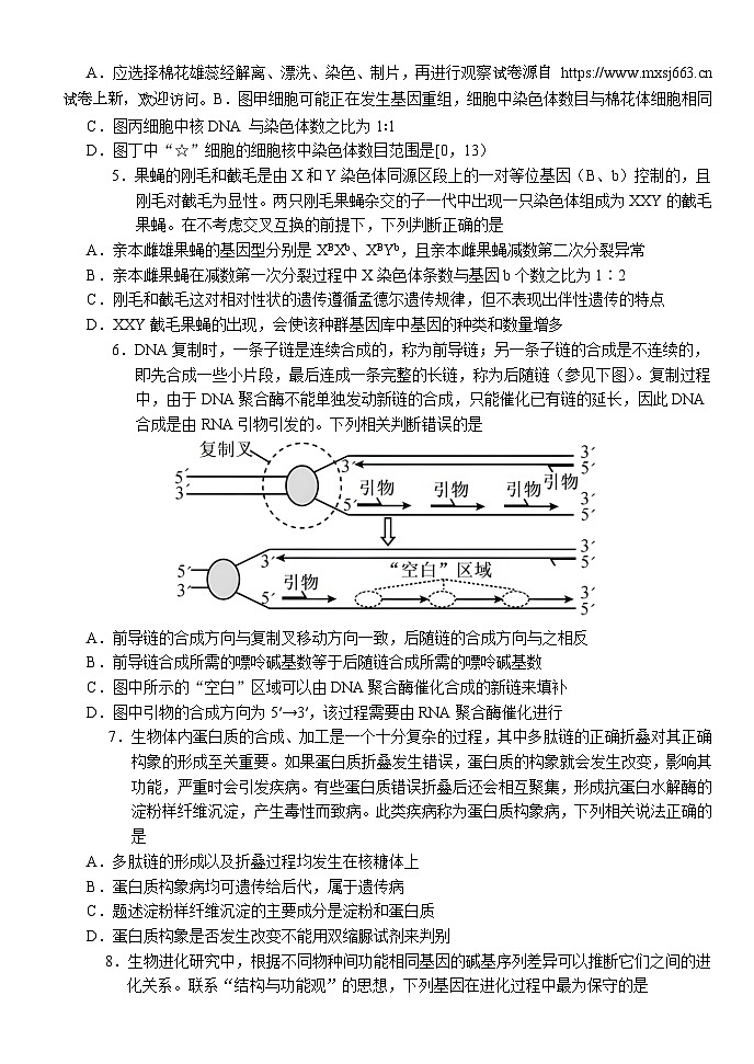 24，2024届湖北省荆州市沙市区湖北省沙市中学高三模拟预测生物试题02
