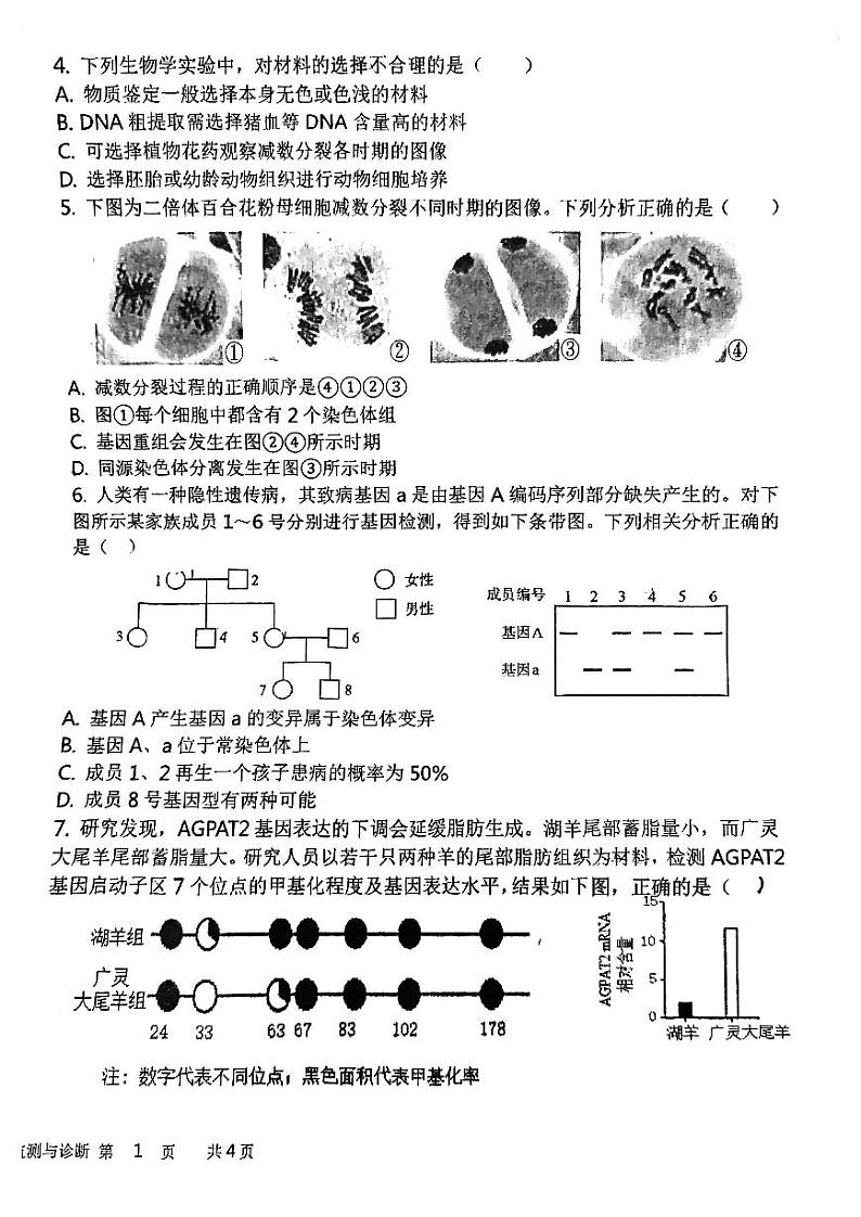 2024届天津市北辰区南仓中学高三模拟考试生物试卷02