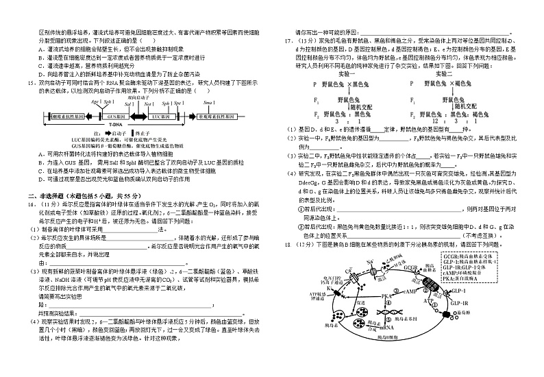 安徽省六安市金安区第一中学2023-2024学年高三下学期高考模拟预测生物试题第3页