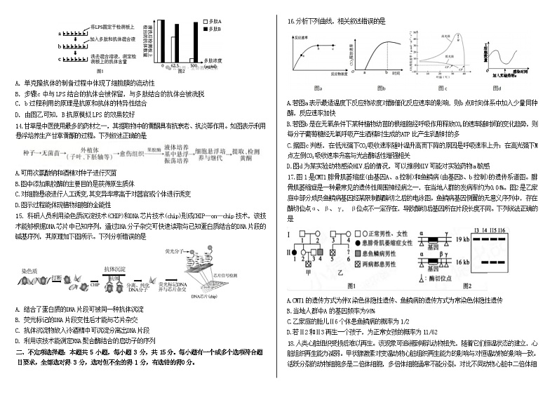 山东省济南市历城二中高三2024年6月高考打靶考试生物试题及答案第3页