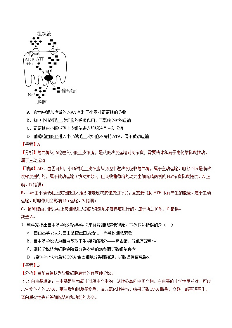（解析版）-【赢在高考·黄金8卷】备战2024年高考生物模拟卷（甘肃专用）02