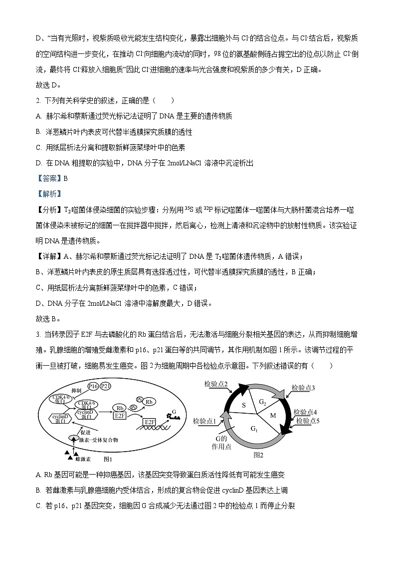 2024届山东省实验中学高三第三次模拟考试生物试题（学生版+教师版）02