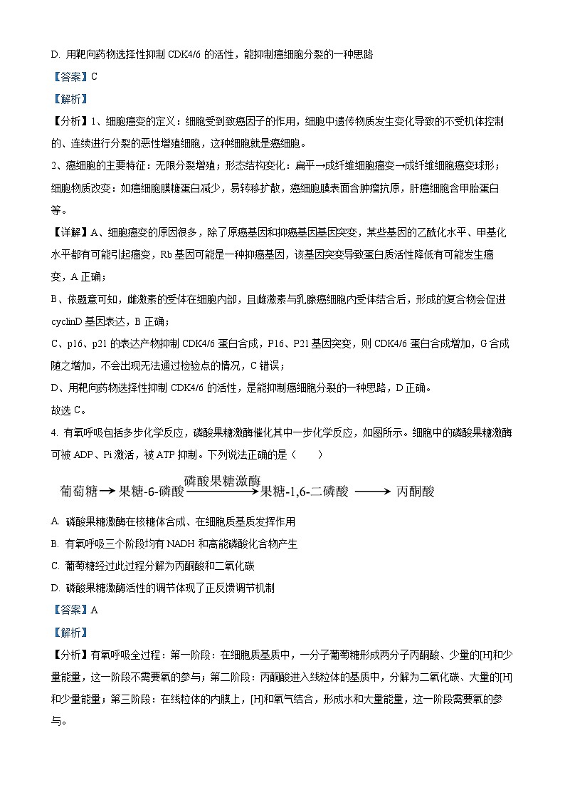 2024届山东省实验中学高三第三次模拟考试生物试题（学生版+教师版）03