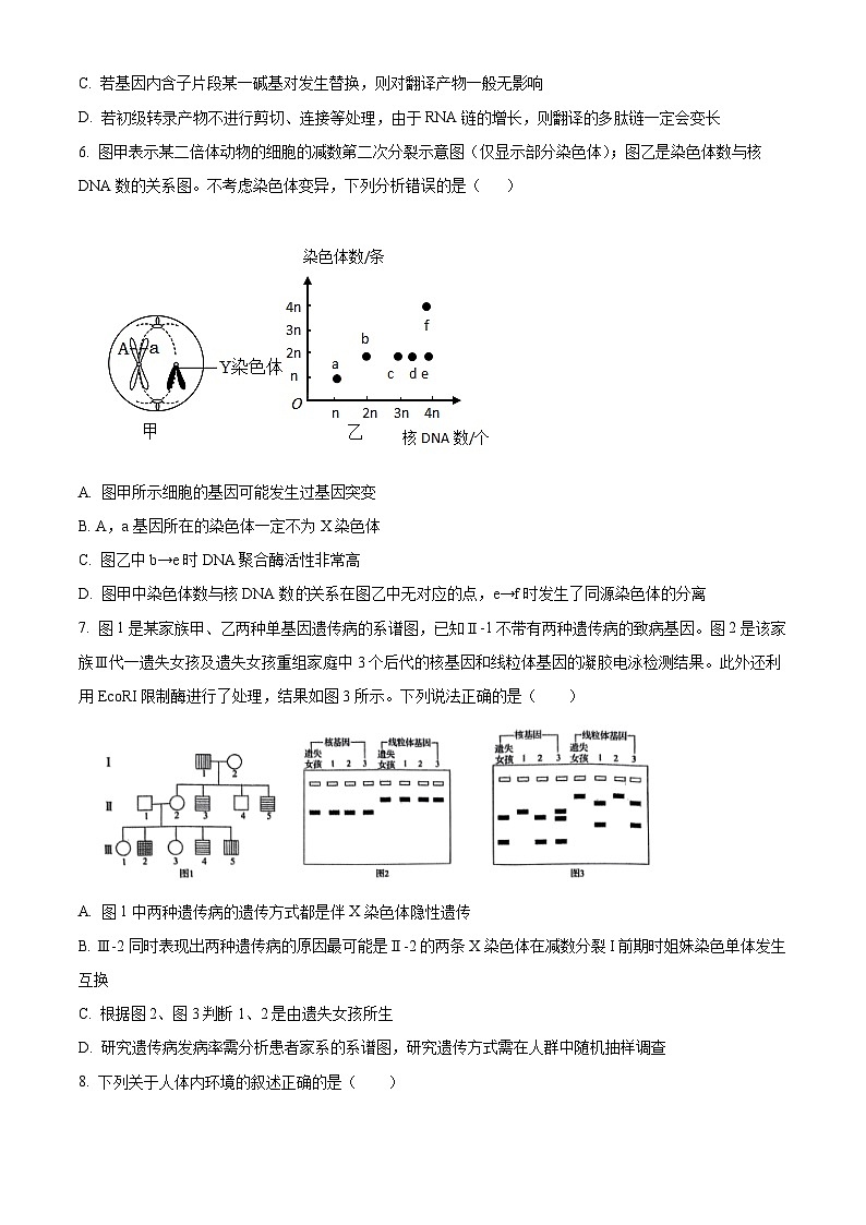 2024届山东省实验中学高三下学期模拟考试生物试题（学生版）第3页
