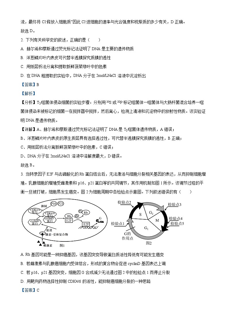 2024届山东省实验中学高三下学期模拟考试生物试题（教师版）第2页