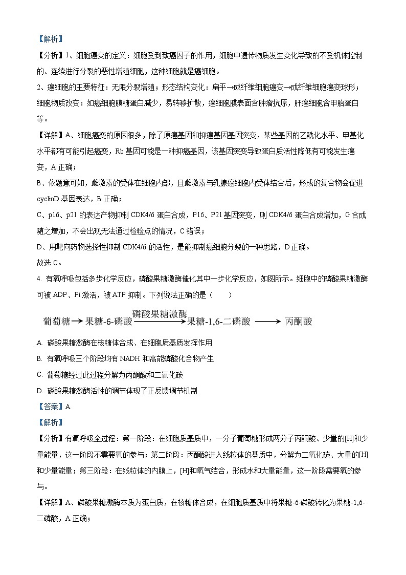 2024届山东省实验中学高三下学期模拟考试生物试题（教师版）第3页